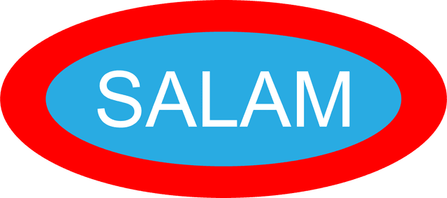 SALAM Hospital